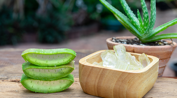 Benefits of Aloe Vera for Hair Care